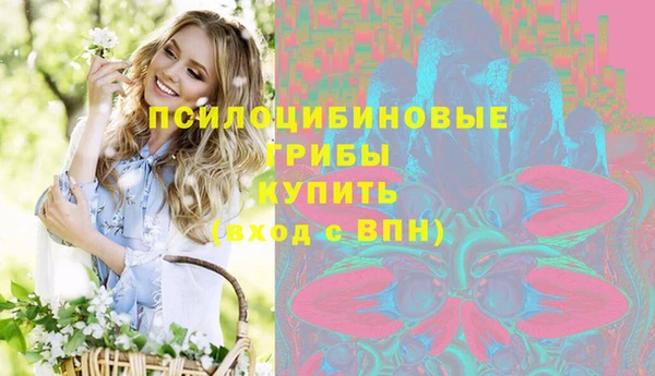 дмт Баксан