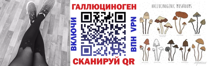 Галлюциногенные грибы Psilocybe Сухой Лог