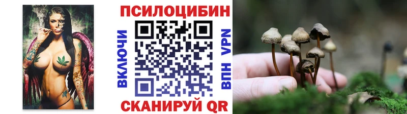 Псилоцибиновые грибы Magic Shrooms  Сухой Лог 